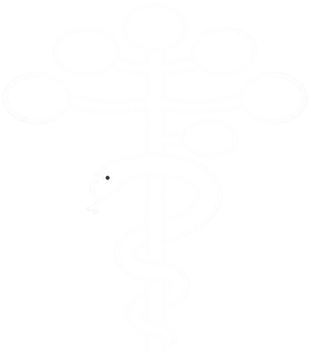 Segundo Logotipo